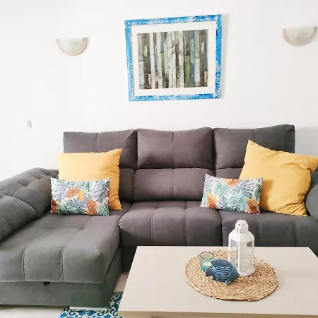 Daire Guinea Nidive *